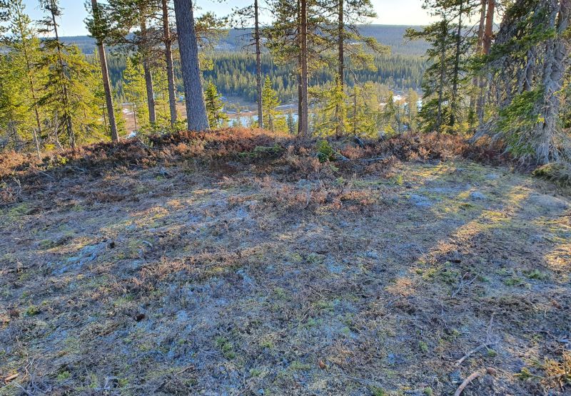 Fil:Potetåker i Skjæret (Ljørdalen)1.jpg