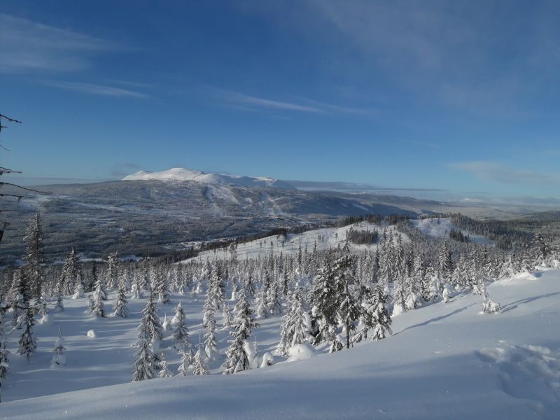 Fil:Høgåsen.jpg