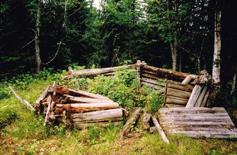 Fil:Stordalskoia4.jpg