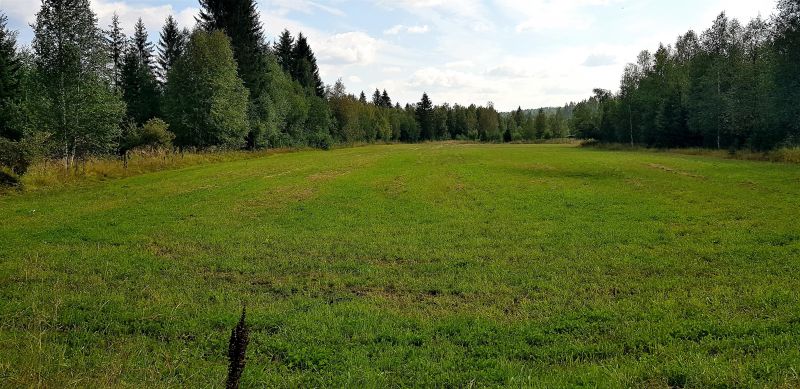 Fil:Mørkgangen (Øien).jpg
