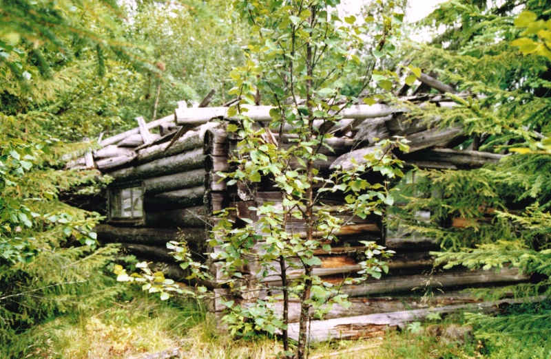 Fil:Stordalskoia3.jpg