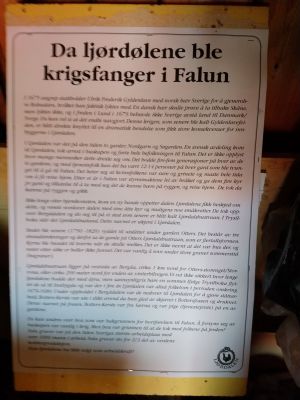 Ljørdalsbustraan.jpg