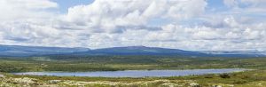 Mjølsjøen Panorama.jpg