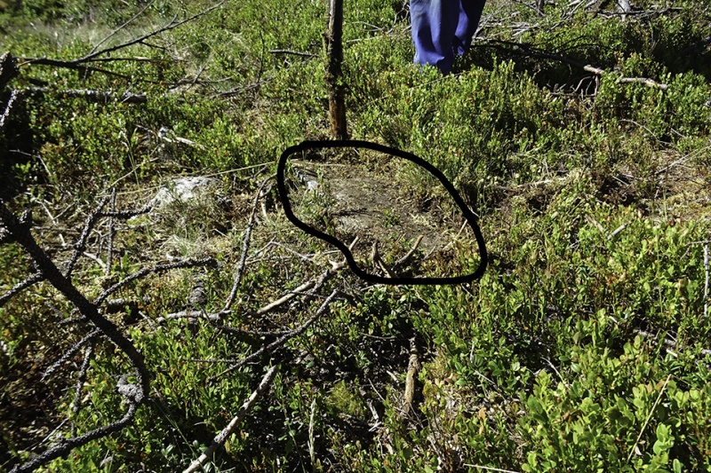 Fil:Grasbekksetra.jpg