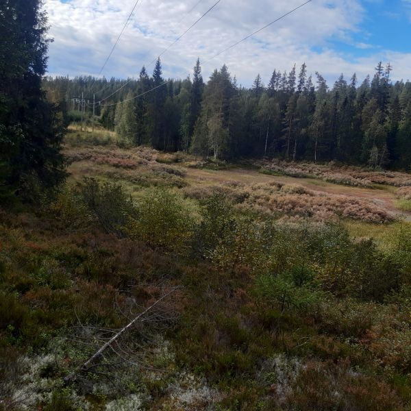 Fil:Kjerringavan.jpg