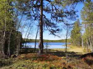 Fiskeløstjernet.jpg