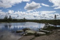 Miniatyrbilde av versjonen fra 21. jun. 2016 kl. 19:18