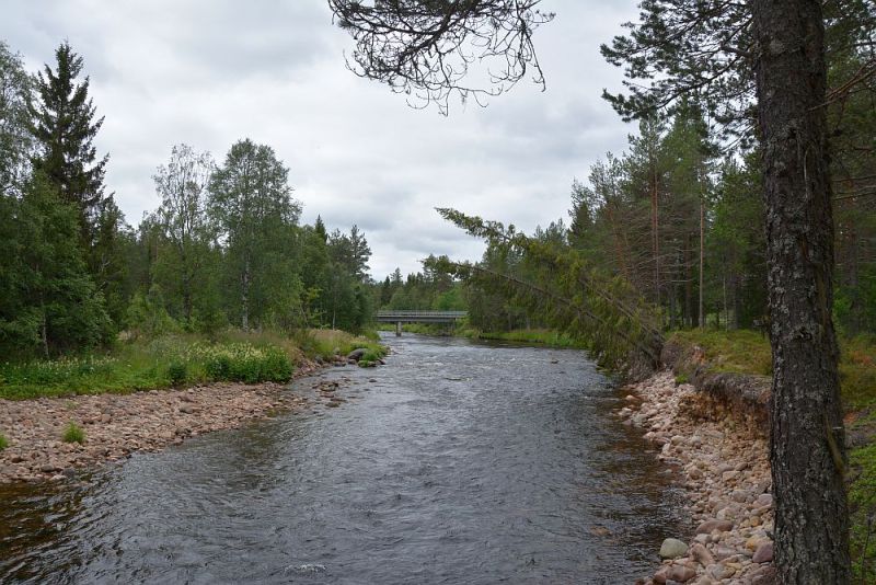 Fil:Drevjebrua.jpg