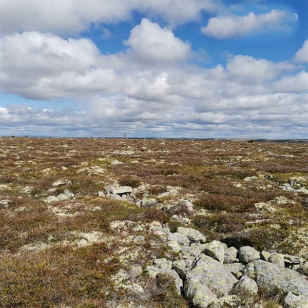 Fil:Skardfjellet.jpg