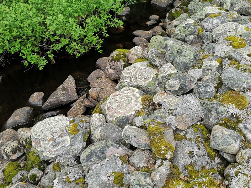 Fil:Skådammen L3.jpg