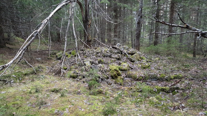 Fil:Øverbekk2017.jpg