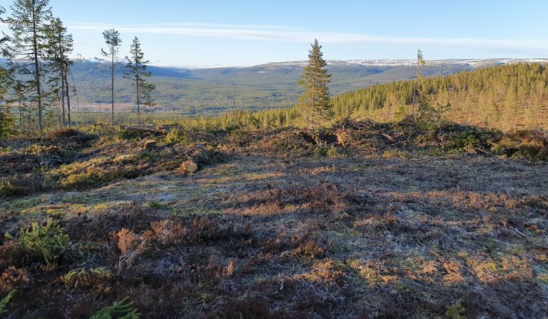 Fil:Potetåker i Skjæret (Ljørdalen)2.jpg