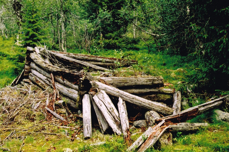 Fil:Simamyrkoia 2.jpg