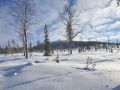 Miniatyrbilde av versjonen fra 6. feb. 2021 kl. 16:39