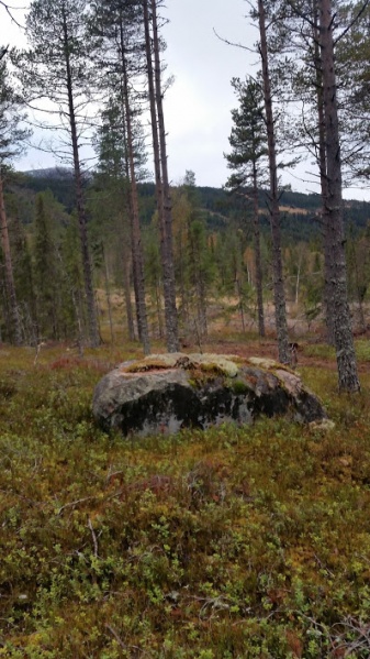 Fil:Kvilsten ved Lerbak 1.jpg
