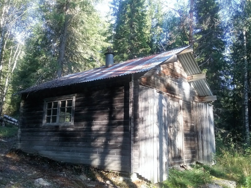 Fil:Berntsholtkoia.jpg