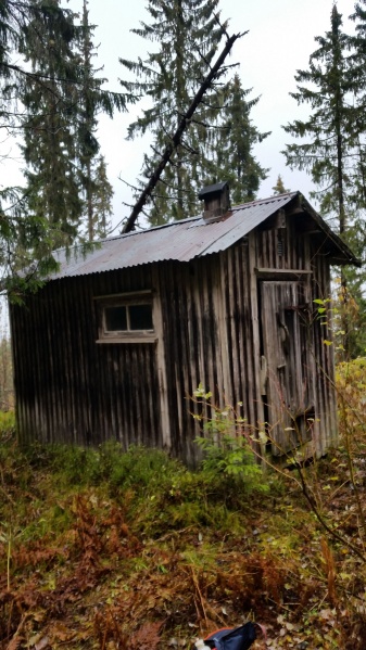 Fil:Strandvoldkoia 2.jpg