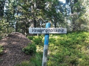 Vestergnollkoia.jpg