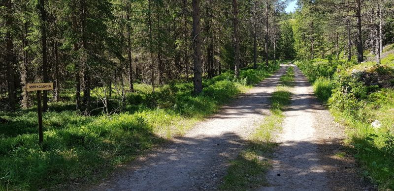 Fil:Mørkgangen.jpg