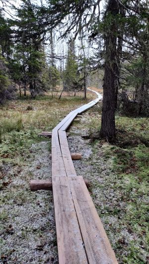 Storstenmyra i Bergådalen.jpg