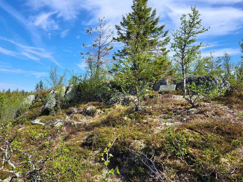 Fil:Skjæret Bittermarka 2.jpg
