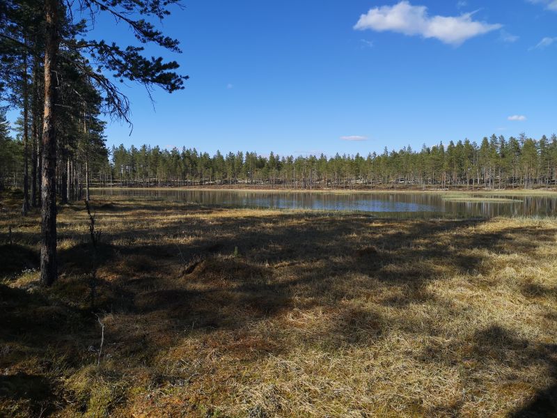 Fil:Kvetjønnet02.jpg