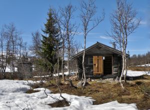 Røninga ved Kvisla2.jpg