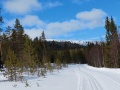 Miniatyrbilde av versjonen fra 16. mar. 2019 kl. 14:18