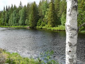 Veltfloen Storgrøna.jpg