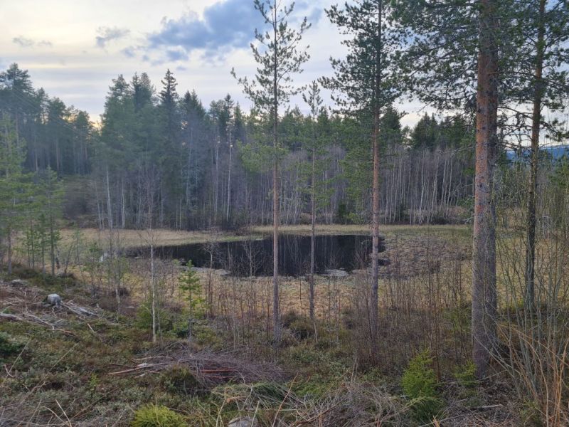 Fil:Mævatjønna.jpg
