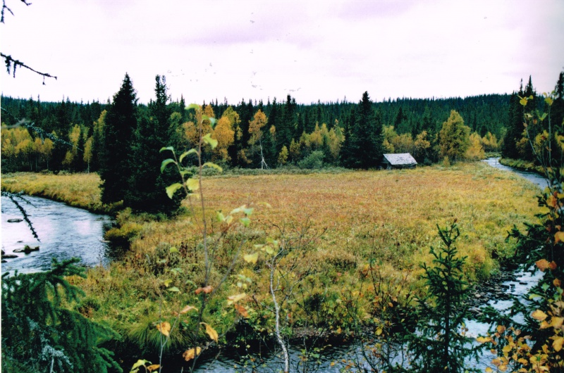 Fil:Nørdstenget.jpg
