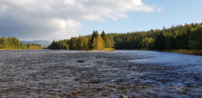 Fil:Ytre Kinnbyttholmen2.jpg