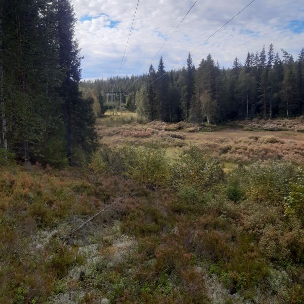 Fil:Nybergsund skytterlags gamle bane 1.jpg