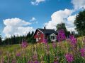 Miniatyrbilde av versjonen fra 26. mai 2020 kl. 20:35