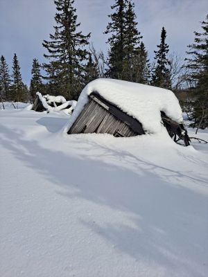 Enget ved Kvannkjeldkjølen.jpg