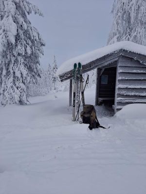 Løvåsen (Nesvollberget).jpg