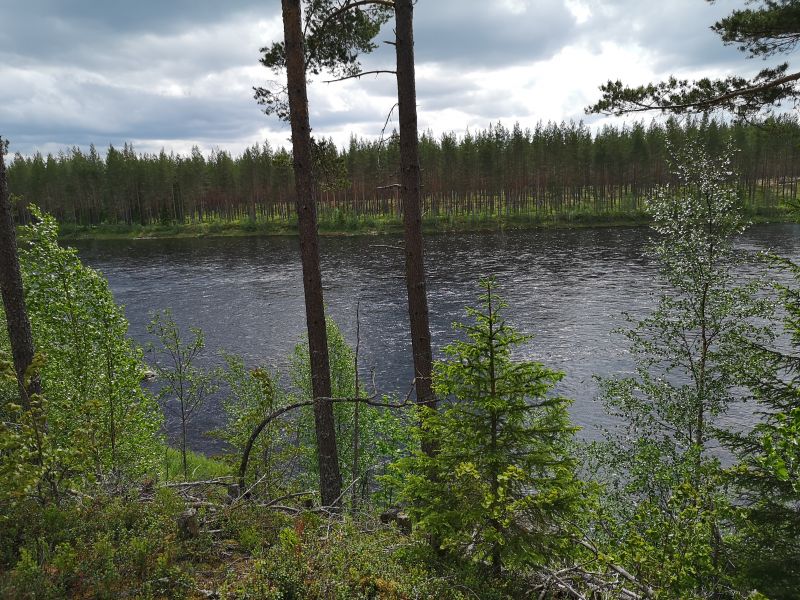 Fil:Langvarpet4.jpg