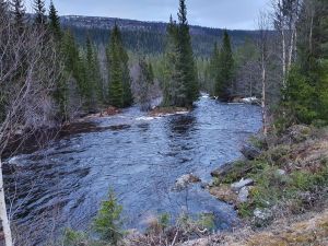 Bjønnfossen.jpg