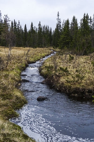 Fil:Greftåsbekken.jpg