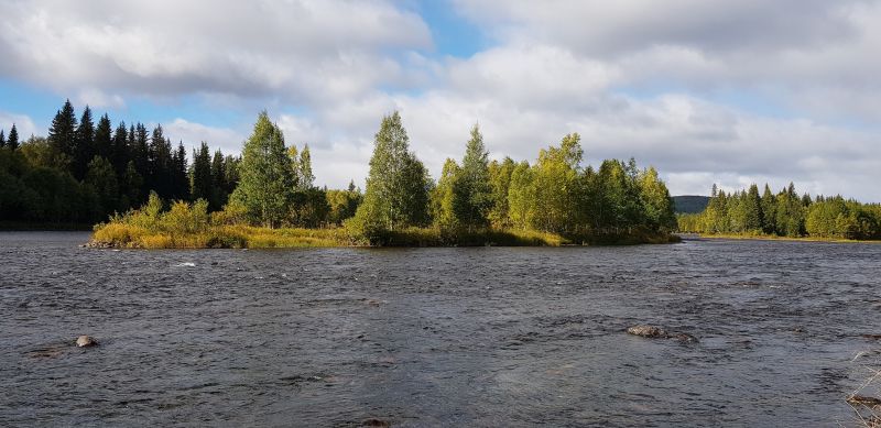 Fil:Voldholmen.jpg