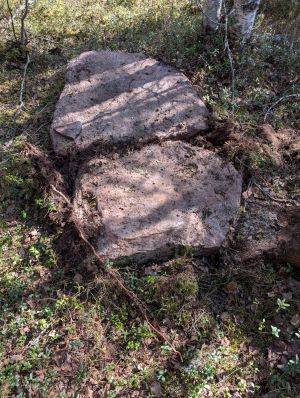 Koietomt nord for Tangåa.jpg
