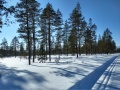 Miniatyrbilde av versjonen fra 11. mar. 2018 kl. 10:55