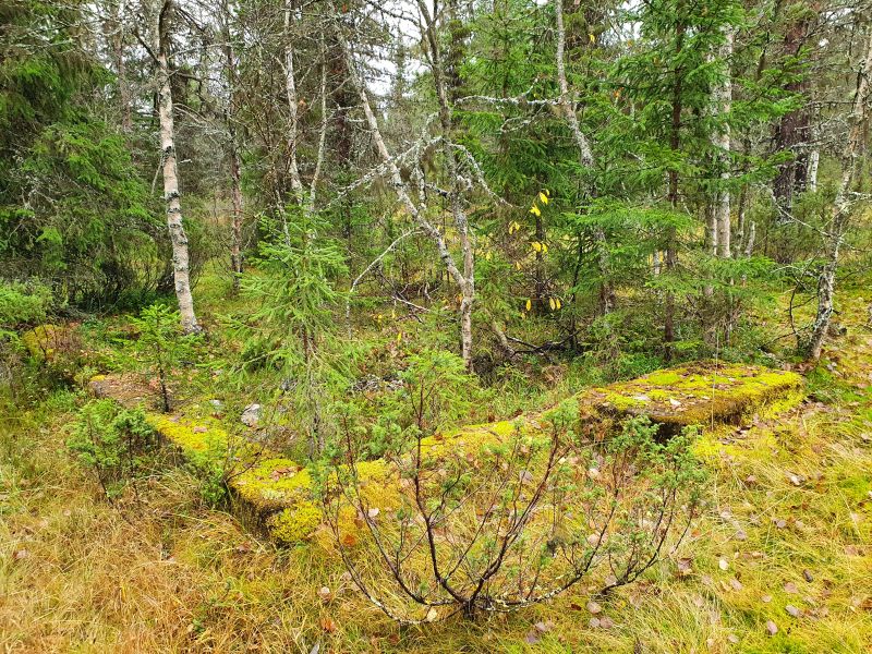 Fil:Svarttjønnkoia ruin.jpg