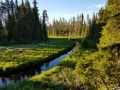 Miniatyrbilde av versjonen fra 22. jun. 2020 kl. 19:29