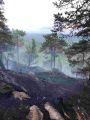 Miniatyrbilde av versjonen fra 13. jan. 2024 kl. 08:43