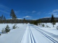 Miniatyrbilde av versjonen fra 11. mar. 2018 kl. 10:58