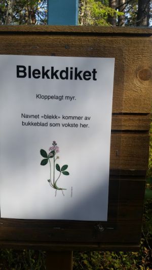 Lortsetervegen blekkdiket1.jpg