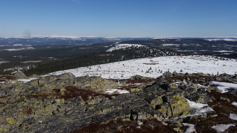 Fil:Kringelvolkampen.jpg