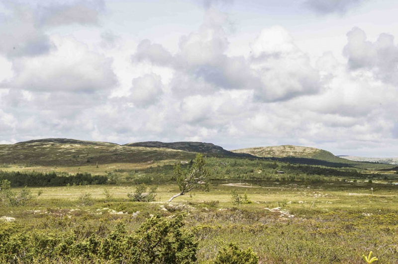 Fil:Støtfjellet.jpg