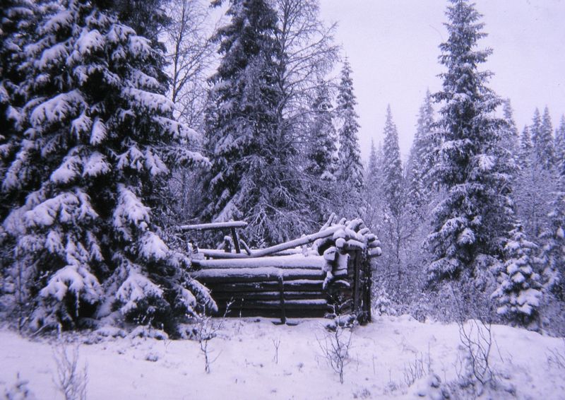 Fil:Ryskåskoia2.jpg